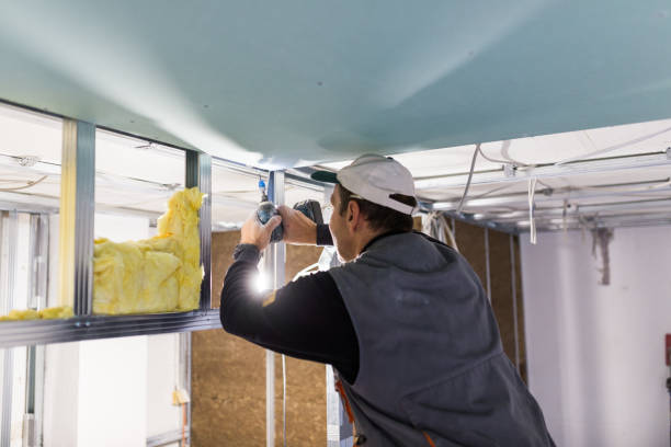 Best DIY Insulation Kits and Guidance in Whitfield, FL