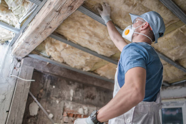 Types of Insulation We Offer in Whitfield, FL
