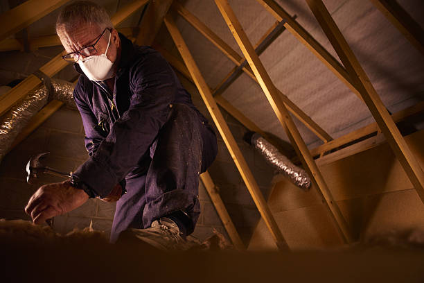 Best Residential Insulation in Whitfield, FL